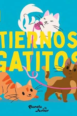 63965-TIERNOS GATITOS