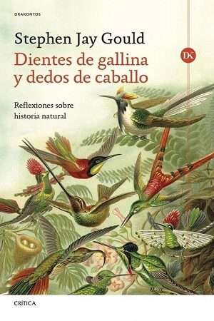 63997-DIENTES DE GALLINA Y DEDOS DE CABALLO