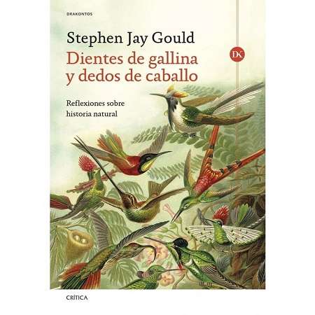 63997-DIENTES DE GALLINA Y DEDOS DE CABALLO