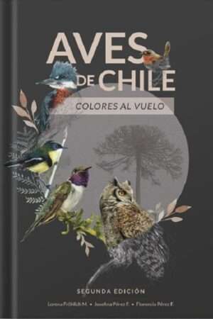 64164-AVES DE CHILE COLORES AL VUELO (SEGUNDA EDICION)