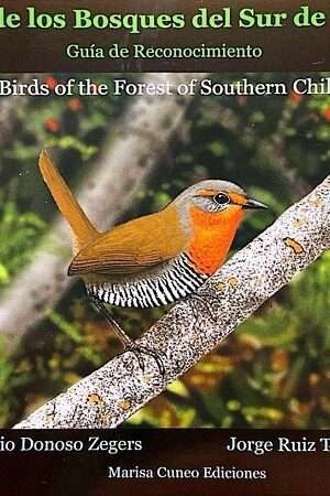 64244-AVES DE LOS BOSQUES DEL SUR DE CHILE
