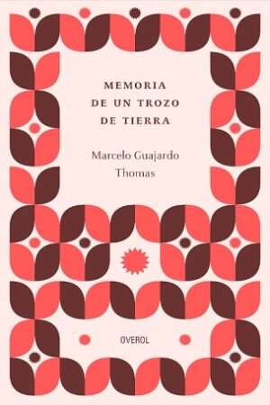 64730-MEMORIA DE UN PEDAZO DE TIERRA