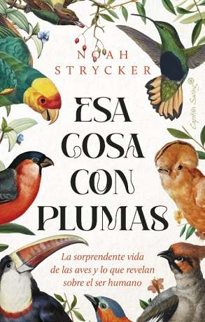 64965-ESA COSA CON PLUMAS