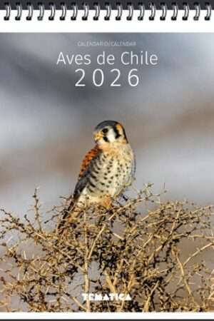 65080-CALENDARIO 2026 AVES DE CHILE