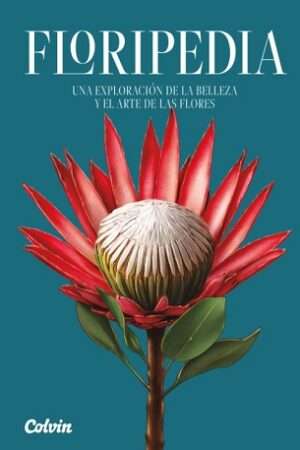 65620-FLORIPEDIA