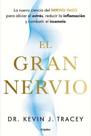 65353-EL GRAN NERVIO