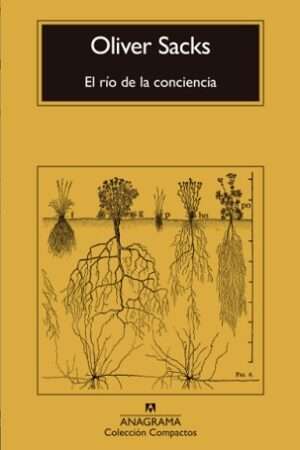 65454-EL RIO DE LA CONCIENCIA