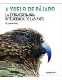 9331-A VUELO DE PAJARO