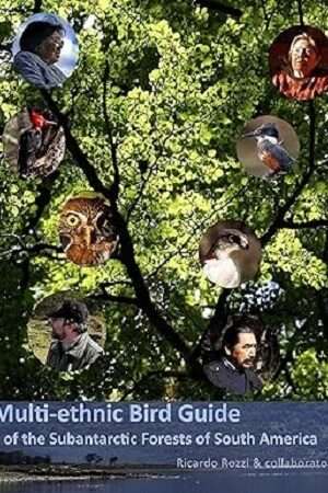 65676-MULTI-ETHNIC BIRD GUIDE OF THE SUBANTARCTIC FORESTS OF SOUTH AMERICA