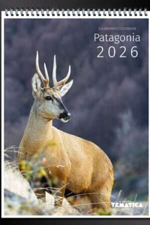 65081-CALENDARIO 2026 PATAGONIA VIVA