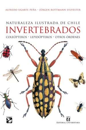 66062-NATURALEZA ILUSTRADA DE CHILE. INVERTEBRADOS