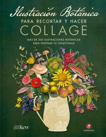 67354-ILUSTRACION BOTANICA PARA RECORTAR Y HACER COLLAGE