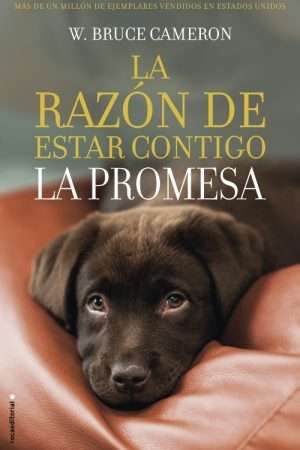 13258-LA RAZON DE ESTAR CONTIGO : LA PROMESA