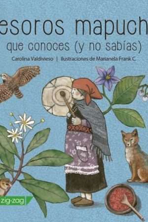 67573-TESOROS MAPUCHE