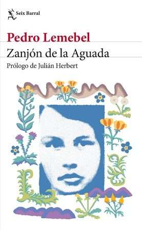 67616-ZANJON DE LA AGUADA