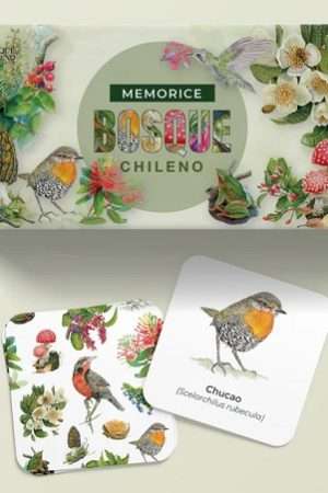 68216-MEMORICE BOSQUE CHILENO