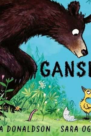 68710-GANSITA