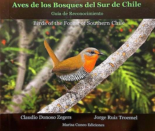 64244-AVES DE LOS BOSQUES DEL SUR DE CHILE