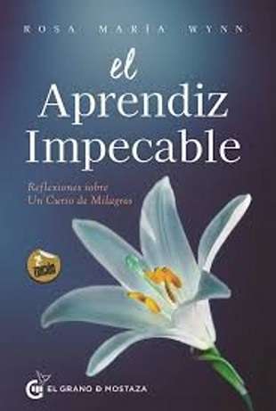 69087-EL APRENDIZ IMPECABLE