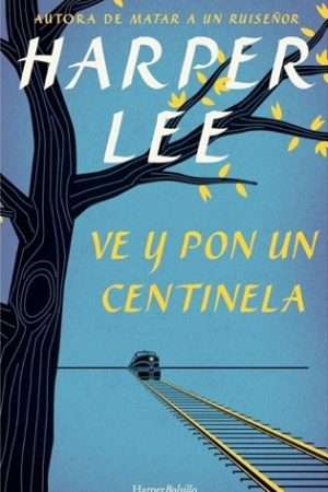 69684-VE Y PON UN CENTINELA