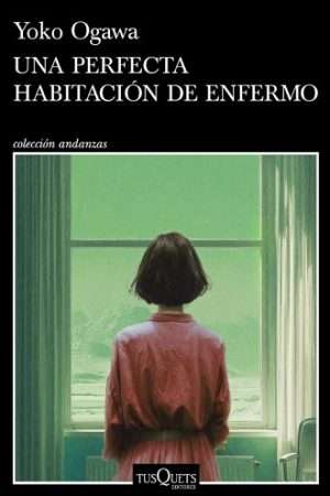 69282-UNA PERFECTA HABITACION DE ENFERMO