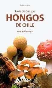 41933-GUIA DE CAMPO HONGOS DE CHILE